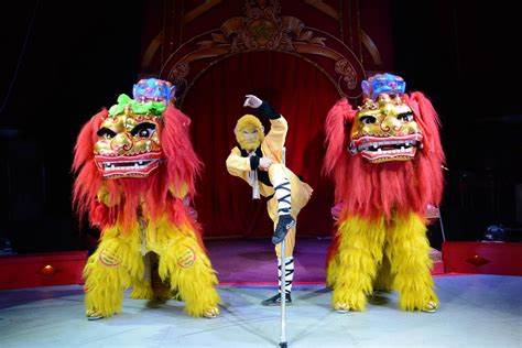 Chinese cicus performers